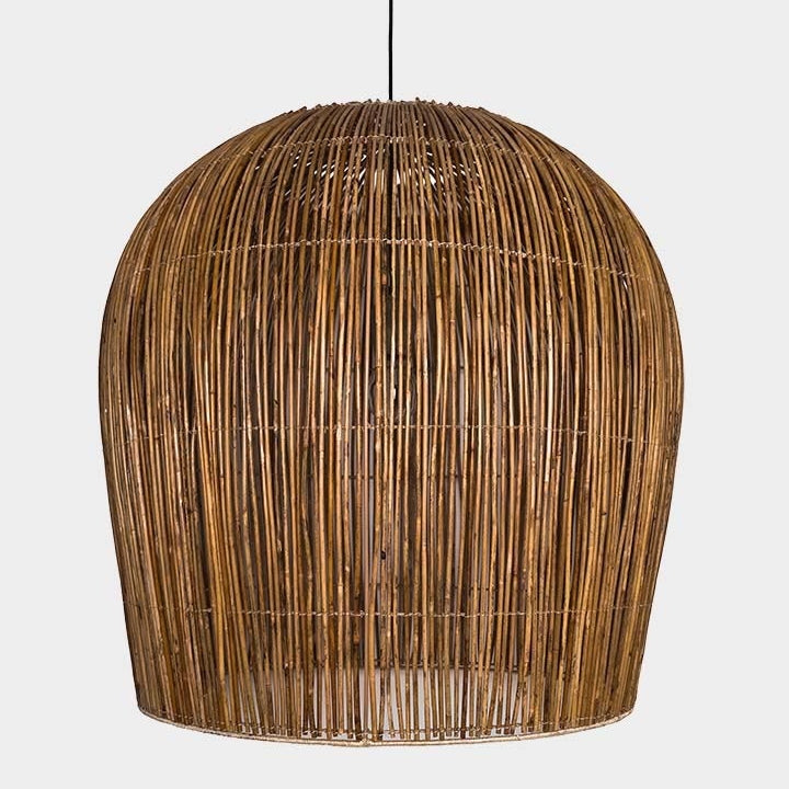 Buri Bulb Large